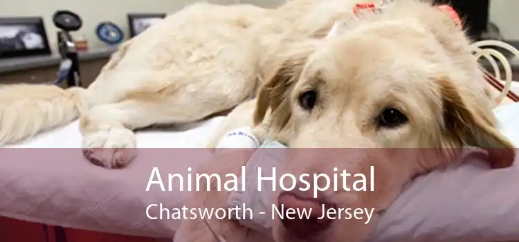 Animal Hospital Chatsworth - New Jersey