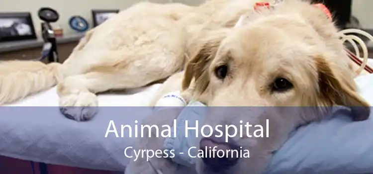 Animal Hospital Cyrpess - California