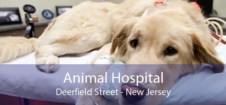 Animal Hospital Deerfield Street - New Jersey