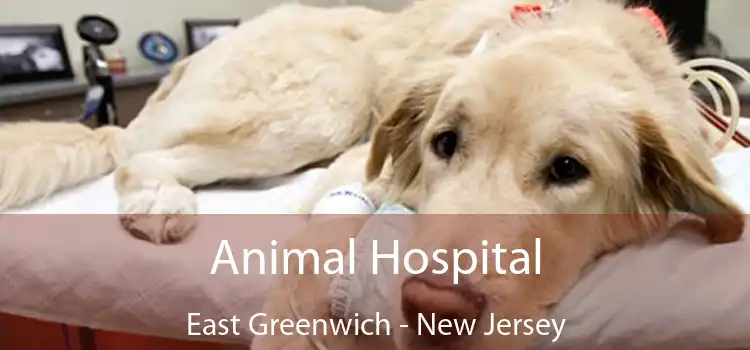 Animal Hospital East Greenwich - New Jersey