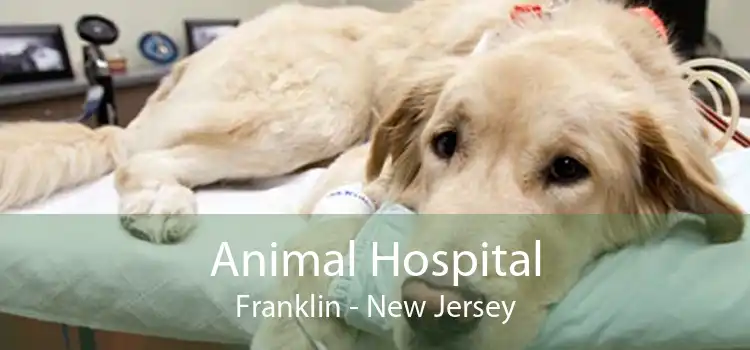 Animal Hospital Franklin - New Jersey