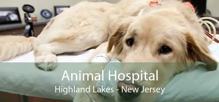 Animal Hospital Highland Lakes - New Jersey