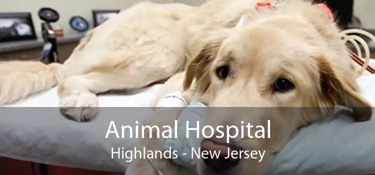 Animal Hospital Highlands - New Jersey
