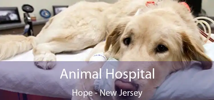 Animal Hospital Hope - New Jersey