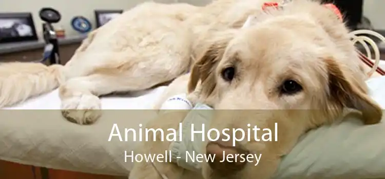 Animal Hospital Howell - New Jersey
