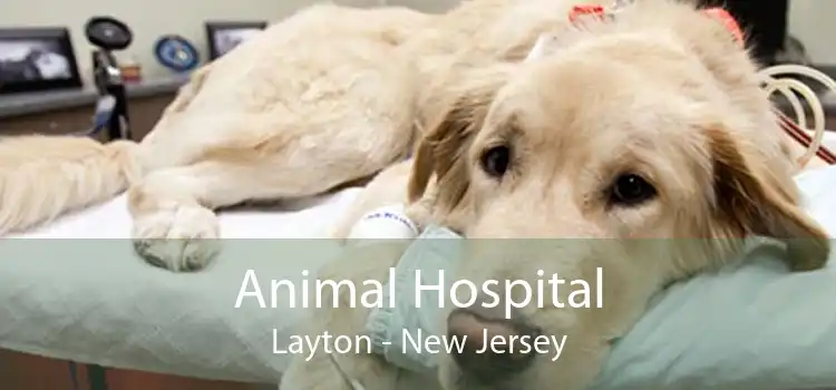 Animal Hospital Layton - New Jersey