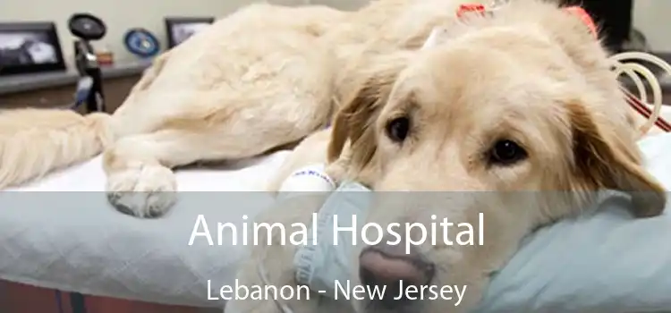 Animal Hospital Lebanon - New Jersey