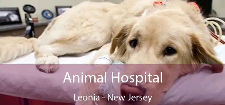 Animal Hospital Leonia - New Jersey