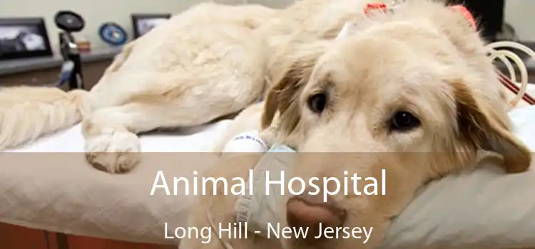 Animal Hospital Long Hill - New Jersey