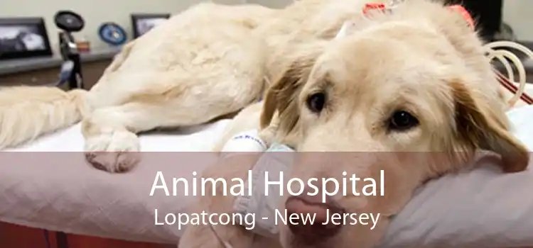 Animal Hospital Lopatcong - New Jersey
