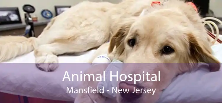 Animal Hospital Mansfield - New Jersey