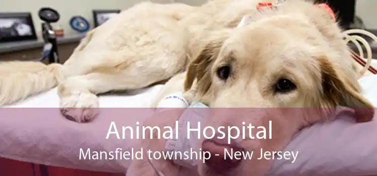 Animal Hospital Mansfield township - New Jersey