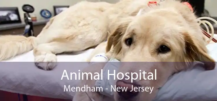 Animal Hospital Mendham - New Jersey