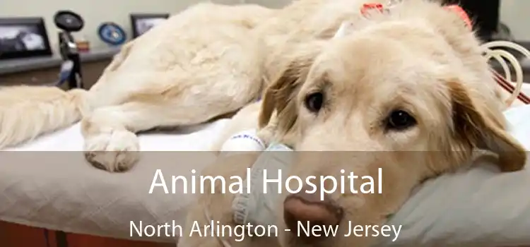 Animal Hospital North Arlington - New Jersey