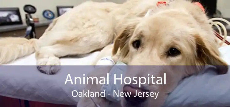 Animal Hospital Oakland - New Jersey