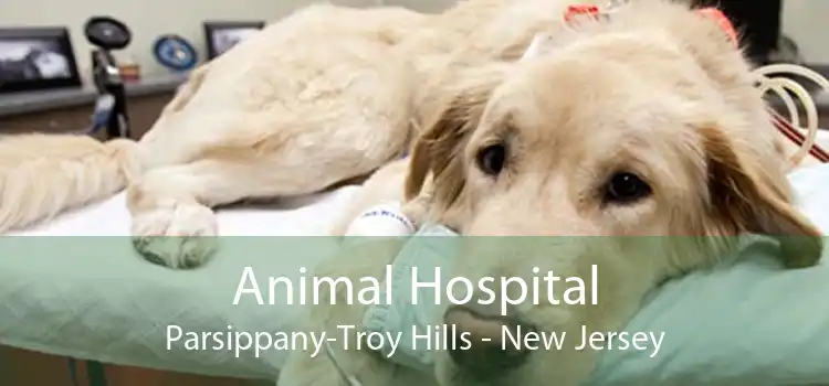 Animal Hospital Parsippany-Troy Hills - New Jersey