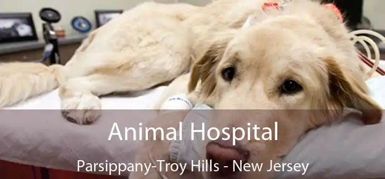 Animal Hospital Parsippany-Troy Hills - New Jersey