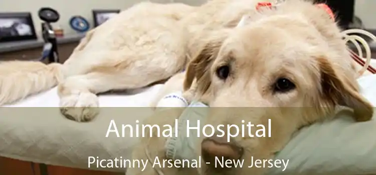 Animal Hospital Picatinny Arsenal - New Jersey