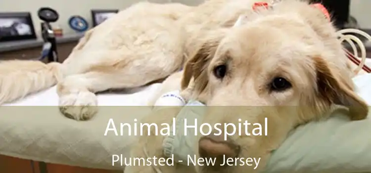 Animal Hospital Plumsted - New Jersey