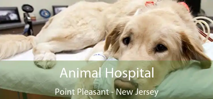 Animal Hospital Point Pleasant - New Jersey