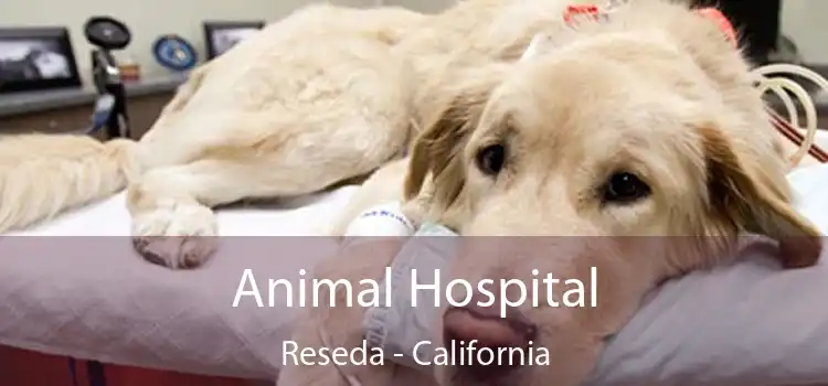 Animal Hospital Reseda - California