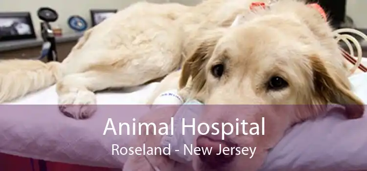 Animal Hospital Roseland - New Jersey