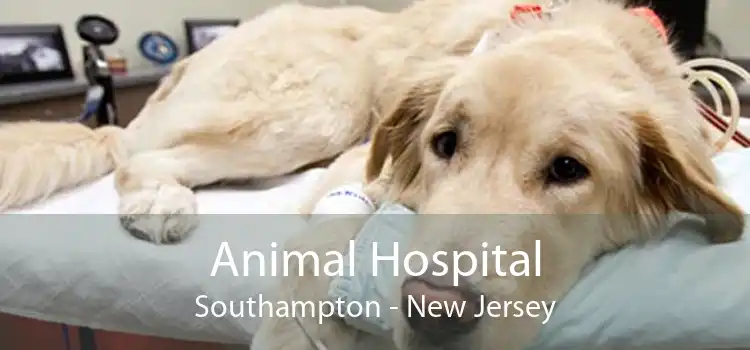 Animal Hospital Southampton - New Jersey