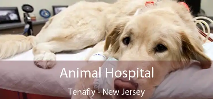 Animal Hospital Tenafly - New Jersey