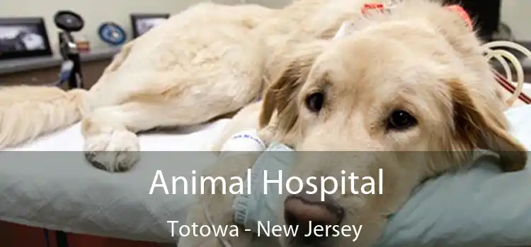 Animal Hospital Totowa - New Jersey