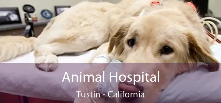 Animal Hospital Tustin - California