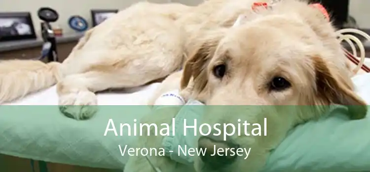 Animal Hospital Verona - New Jersey
