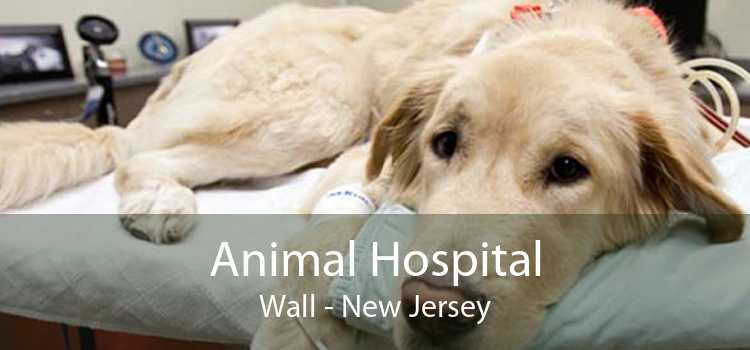 Animal Hospital Wall - New Jersey
