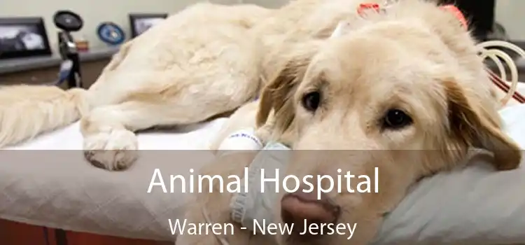 Animal Hospital Warren - New Jersey