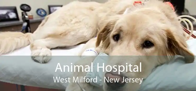 Animal Hospital West Milford - New Jersey