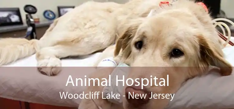 Animal Hospital Woodcliff Lake - New Jersey
