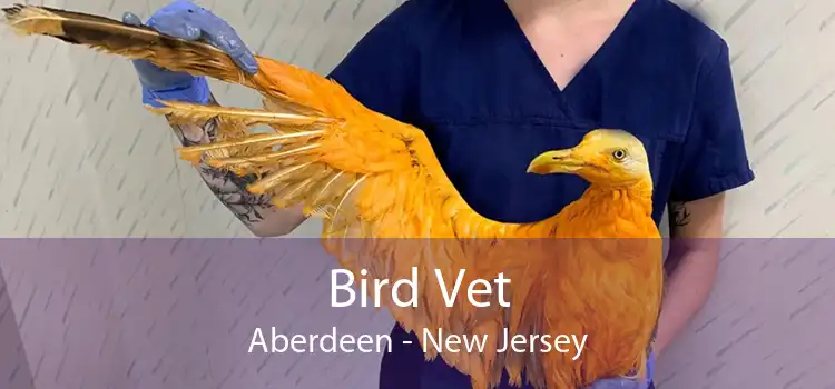 Bird Vet Aberdeen - New Jersey