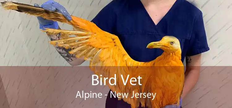 Bird Vet Alpine - New Jersey