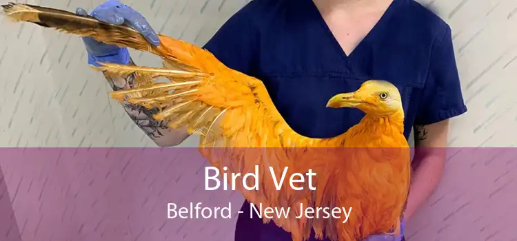 Bird Vet Belford - New Jersey