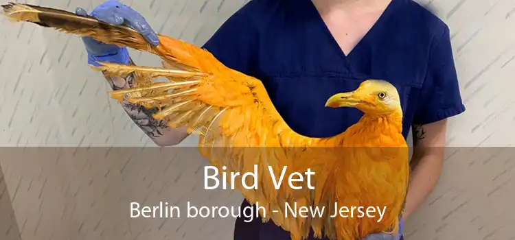 Bird Vet Berlin borough - New Jersey