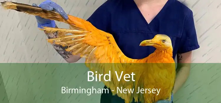Bird Vet Birmingham - New Jersey