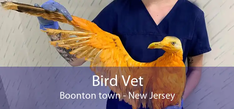 Bird Vet Boonton town - New Jersey