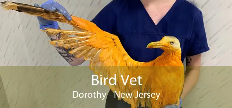 Bird Vet Dorothy - New Jersey