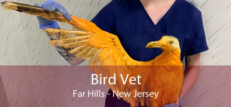 Bird Vet Far Hills - New Jersey