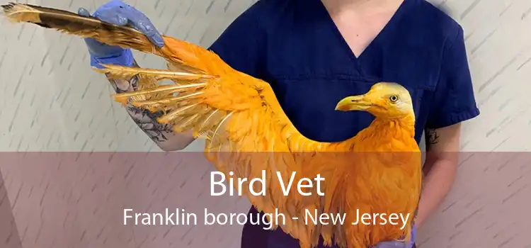 Bird Vet Franklin borough - New Jersey