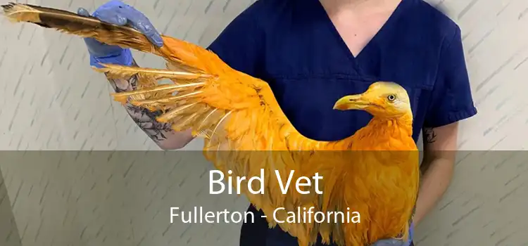 Bird Vet Fullerton - California