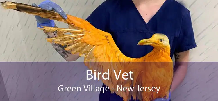Bird Vet Green Village - New Jersey