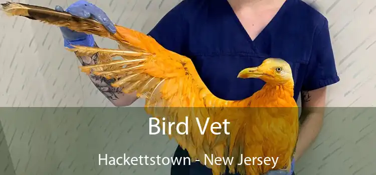 Bird Vet Hackettstown - New Jersey