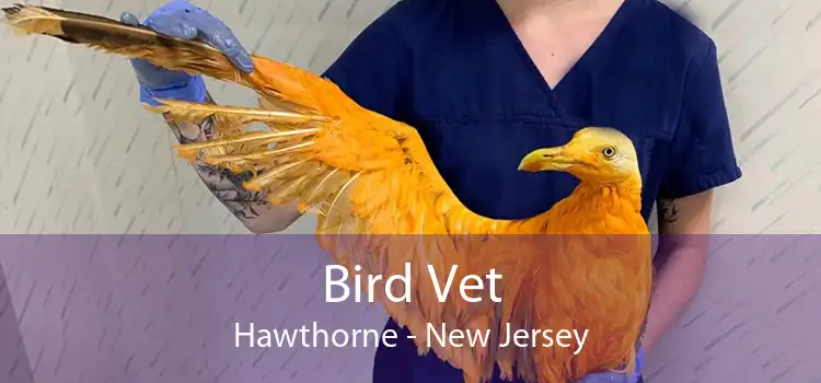 Bird Vet Hawthorne - New Jersey