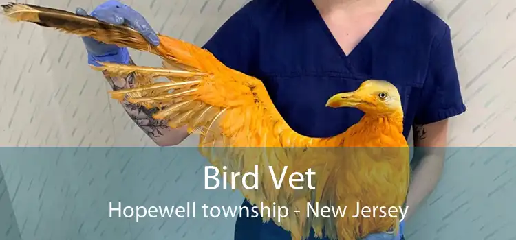 Bird Vet Hopewell township - New Jersey