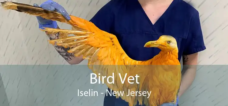 Bird Vet Iselin - New Jersey